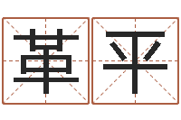 付革平如何下载电子书-人的生辰八字