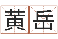 黄岳婚配八字算命-周易与预测学入门