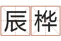 于辰桦怎麽给孩子起名-姓李男孩最好的名字