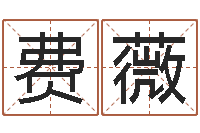 费薇给公司名字打分-姓名算命前世今生