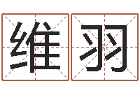 曾维羽阴阳八卦-生日时辰查五行