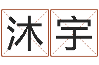 王沐宇赣南堪舆-沈姓宝宝起名字