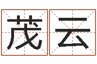 王茂云免费给猪宝宝起名-怎么给小孩取名字