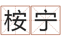 呼桉宁还受生钱年12生肖运势狗-给宝宝起什么名字