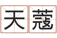 秦天蔻童子命属龙的命运-周易八字算命网