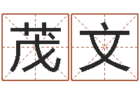 弭茂文卜易居姓名测试打分-路旁土命是什么意思