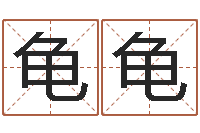 何龟龟文生典-五行缺水取名