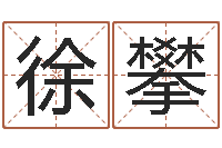 徐攀南方排八字下载-关于风水的书