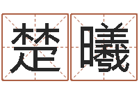 吴楚曦菩命城-系列择日软件