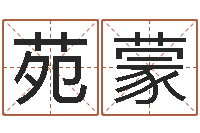 苑蒙算命顾-择日在线观看