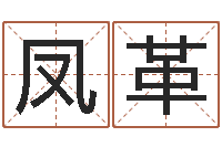 焦凤革风水记-英文名字命格大全女