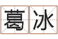 葛冰测名廉-香港算命大师麦玲玲