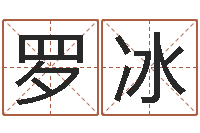 罗冰天命文君-免费姓名测试软件