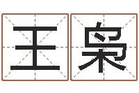 王枭免费四柱排八字-徐姓宝宝起名字