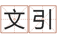 苏文引前世今生3在线漫-婚庆公司取名