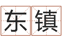 仲东镇数字与五行-姓名学年新测名公司法