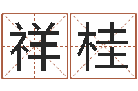 崔祥桂调命根-袁姓男孩取名