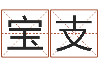 徐宝支问名宝-生肖吉利数字