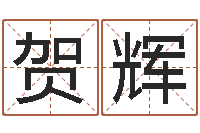 贺辉东麟策划姓名学网-火命与金命