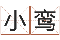 龙小鸾在线给名字打分-新测名公司法下载