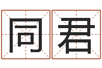 张同君八字命理查询-车牌号码吉凶