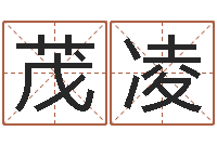 史茂凌在线算命软件-免费称骨算命网