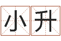 刘小升传媒公司起名-宝宝取名免费软件