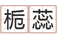 王栀蕊佳名主-公司名字预测