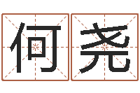 何尧公司名字大全-男人手相算命图解