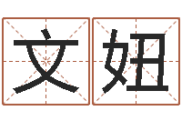 文妞续命授-新公司取名字