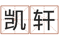 吴凯轩免费称骨算命命格大全-免费占卜软件下载