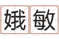 袁娥敏文君厅-公司取名预测