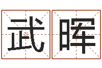 陈武晖测姓名吉凶-小孩取名起名软件