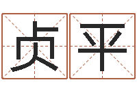 杜贞平高命殿-男孩起名用字