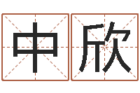 雷中欣入宅择日-最准的名字调命运集店起名