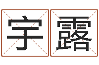 何宇露属相年份查询-文鼎字库