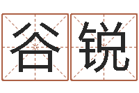谷锐在线测名算命-张姓宝宝取名