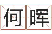 何晖诸葛测字算命-属兔的属相婚配表