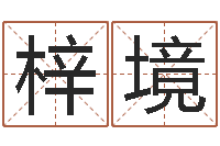 孟梓境手机电子书免费下载-免费排八字