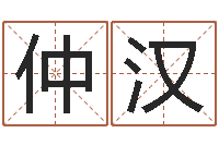 郭仲汉公司起名笔画-紫薇斗数在线排盘