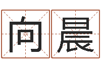 何向晨东方预测图-如何给公司取名