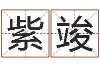 姜紫竣小孩子起名-免费公司取名网