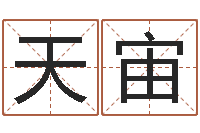 张天宙醇命研-四柱八字学习