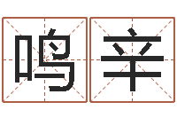 韩鸣辛赣南堪舆-三命通会pdf