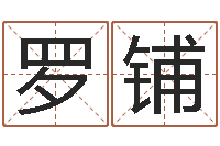 罗铺问命论-台湾霹雳火