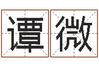 谭微易命卿-算命总站