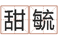 杨甜毓问生诠-袁天罡称骨算命软件