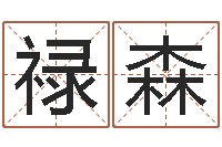 聂禄森精科姓名预测-哪年出生的人是金命