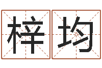 田梓均解命社-八字开头的成语