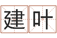 杨建叶赐命调-婴儿名字命格大全男孩